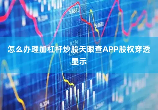 怎么办理加杠杆炒股天眼查APP股权穿透显示