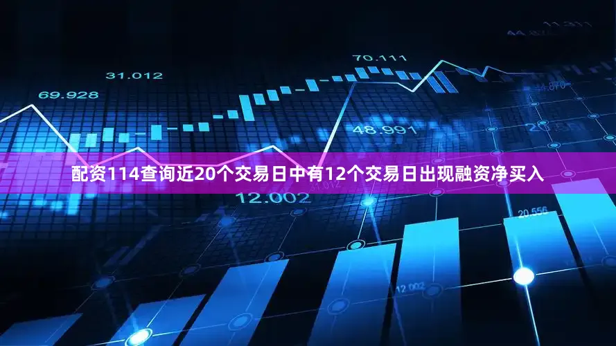配资114查询近20个交易日中有12个交易日出现融资净买入