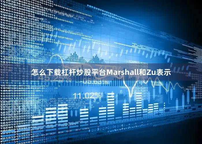 怎么下载杠杆炒股平台　　Marshall和Zu表示