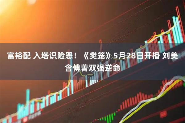 富裕配 入塔识险恶！《樊笼》5月28日开播 刘美含傅菁双强逆命