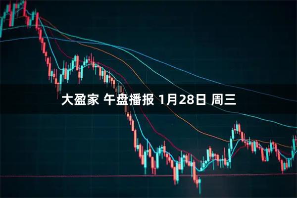 大盈家 午盘播报 1月28日 周三